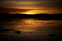 IMG_6484 copy