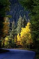 IMG_4547 copy