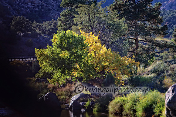 IMG_4539 copy