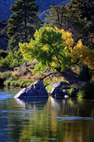 IMG_4542 copy