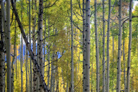 IMG_4576 copy