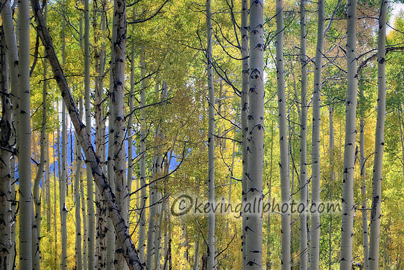 IMG_4576 copy
