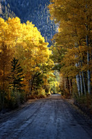 IMG_4560 copy