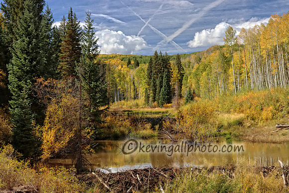 IMG_4581 copy