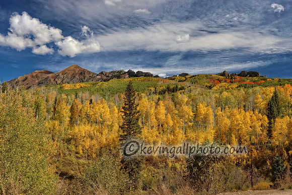 IMG_4583 copy