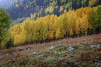 IMG_4601 copy
