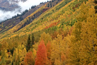 IMG_4616 copy