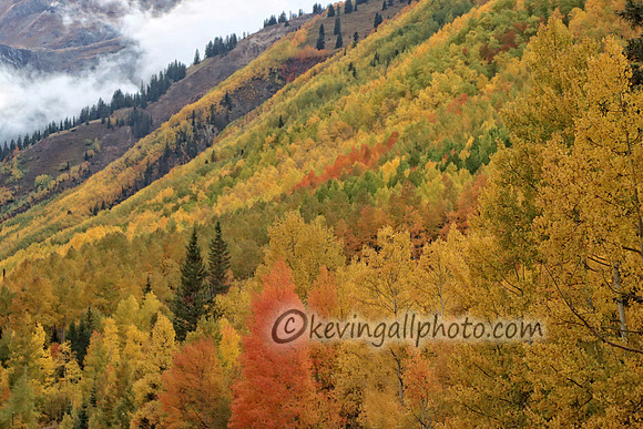 IMG_4616 copy