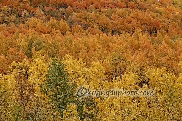 IMG_4622 copy