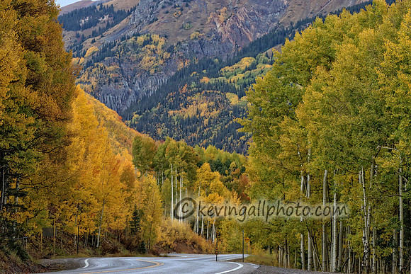 IMG_4624 copy