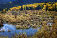 IMG_4570 copy