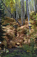 IMG_4572 copy