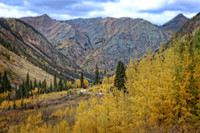IMG_4676 copy