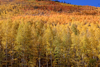 IMG_4815 copy