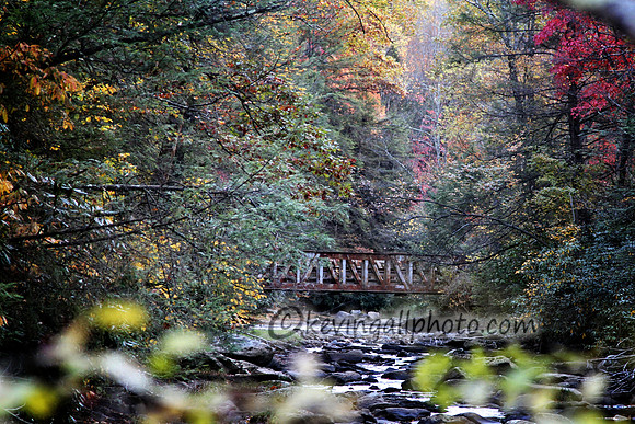IMG_7814 copy