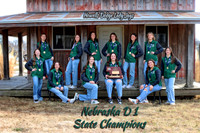 IMG_2913 copy3