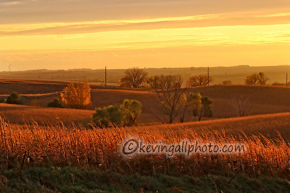 IMG_9501 copy