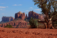 Arizona
