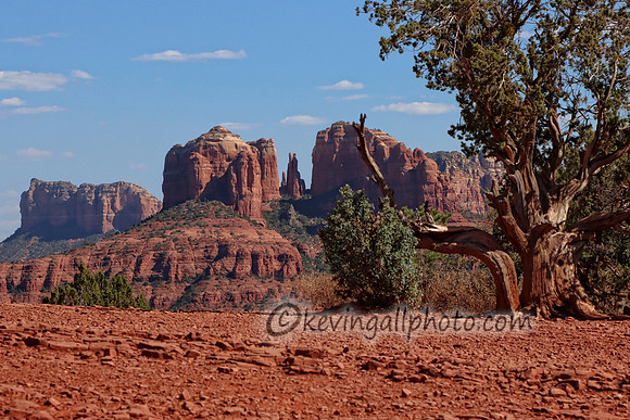 IMG_6376 copy