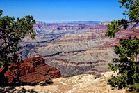 IMG_6435 copy