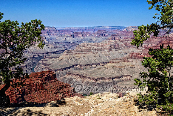 IMG_6435 copy