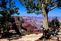 IMG_6456 copy