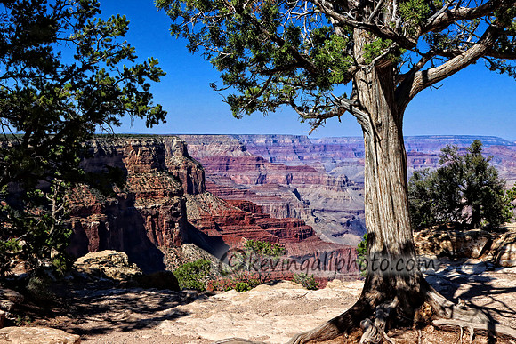 IMG_6456 copy