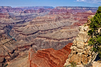 IMG_6441 copy