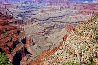 IMG_6455 copy