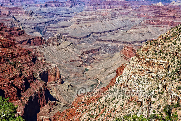 IMG_6455 copy