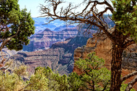 IMG_6410 copy