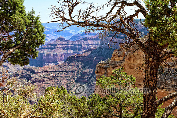 IMG_6410 copy