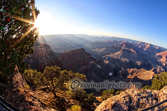 IMG_6517 copy