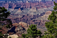 IMG_6495 copy