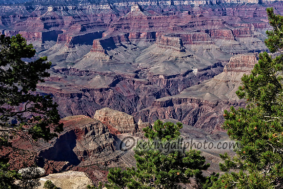 IMG_6495 copy