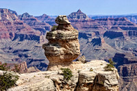 IMG_6736 copy