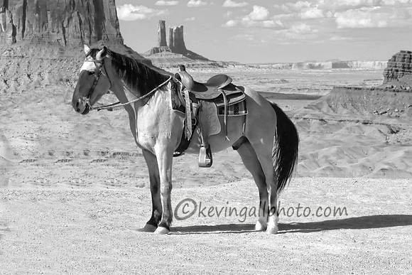 IMG_6951 copy