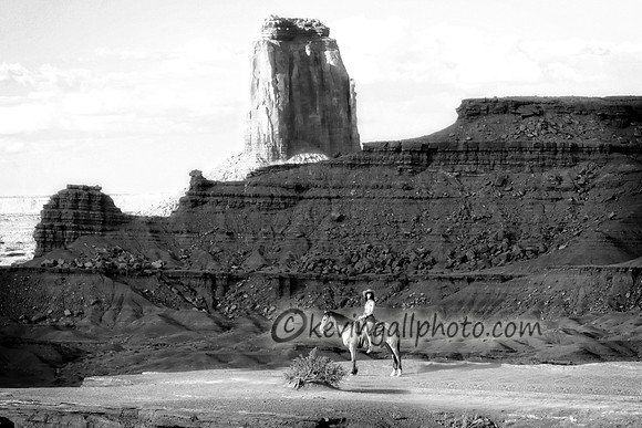 IMG_7014 copy