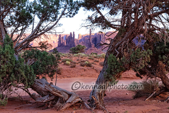 IMG_6984 copy