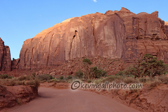 IMG_7002 copy