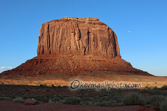 IMG_7022 copy