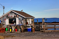 IMG_2266 copy