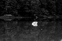 IMG_2272 copy