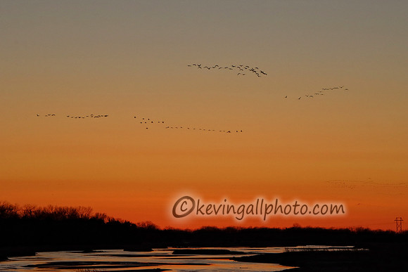 IMG_0856 copy
