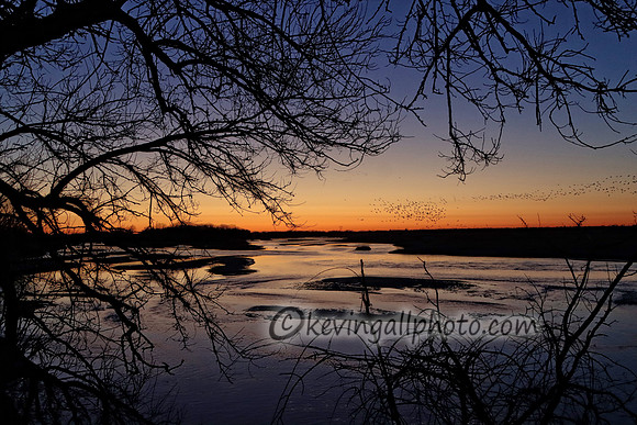 IMG_0872 copy