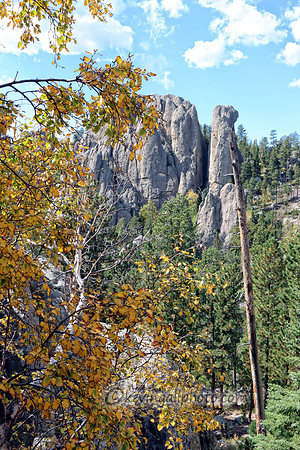 IMG_2866 copy