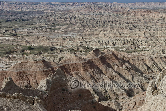 IMG_3031 copy.jpg