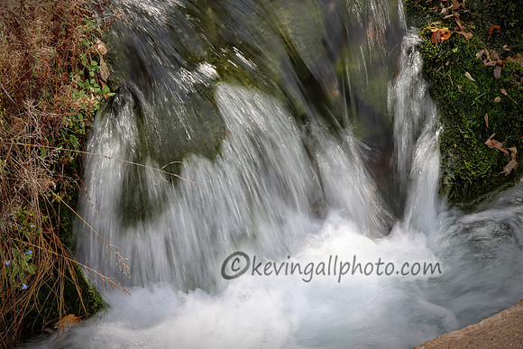 IMG_3017 copy