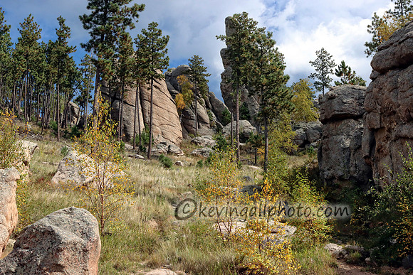 IMG_2871 copy