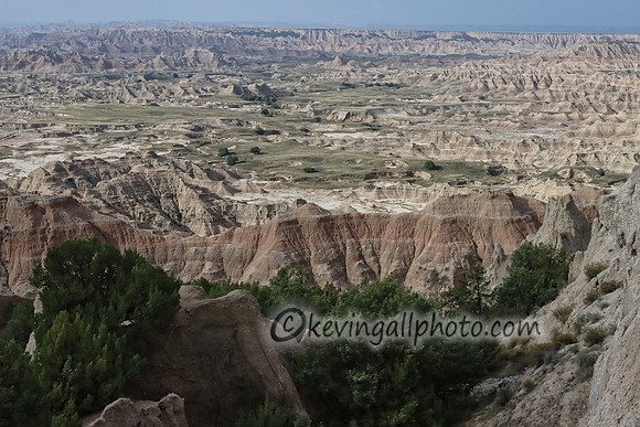 IMG_3029 copy